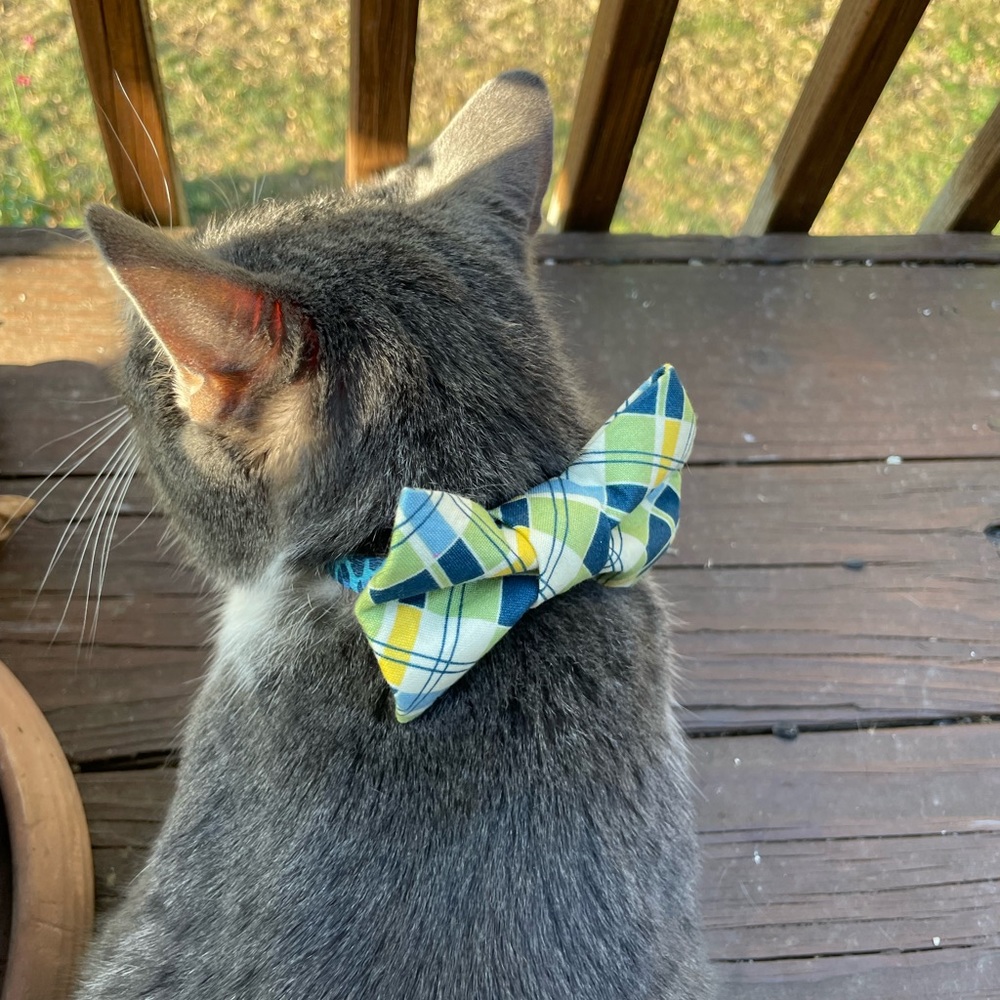 Dog/Cat Bow Tie Plaid Yellow/Blue/Green Velcro - Picture 3 of 7